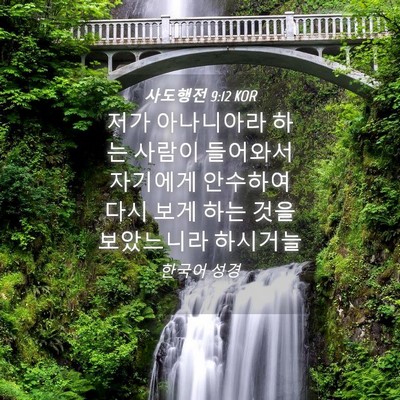 Picture 04 - 사도행전 9:12 KOR - 저가 아나니아라 하는 사람이 - Bible Verse Picture
