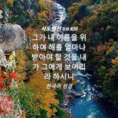 Picture 04 - 사도행전 9:16 KOR - 그가 내 이름을 위하여 해를 얼마나 - Bible Verse Picture