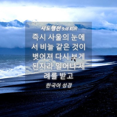 Picture 04 - 사도행전 9:18 KOR - 즉시 사울의 눈에서 비늘 같은 것이 - Bible Verse Picture
