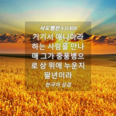 Picture 04 - 사도행전 9:33 KOR - 거기서 애니아라 하는 사람을 만나매 - Bible Verse Picture