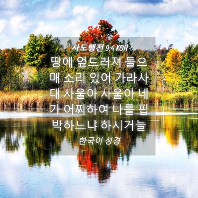 Picture 04 - 사도행전 9:4 KOR - 땅에 엎드러져 들으매 소리 있어 - Bible Verse Picture