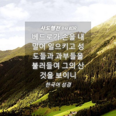 Picture 04 - 사도행전 9:41 KOR - 베드로가 손을 내밀어 일으키고 - Bible Verse Picture