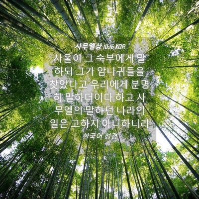 Picture 04 - 사무엘상 10:16 KOR - 사울이 그 숙부에게 말하되 그가 - Bible Verse Picture
