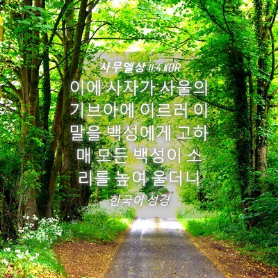 Picture 04 - 사무엘상 11:4 KOR - 이에 사자가 사울의 기브아에 이르러 - Bible Verse Picture