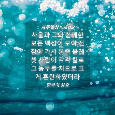 Picture 04 - 사무엘상 14:20 KOR - 사울과 그와 함께한 모든 백성이 - Bible Verse Picture