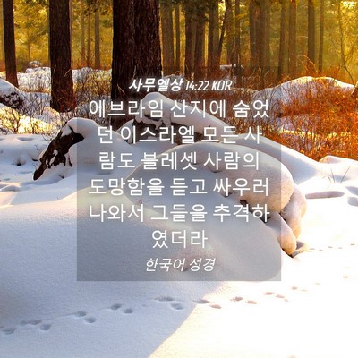 Picture 04 - 사무엘상 14:22 KOR - 에브라임 산지에 숨었던 이스라엘 - Bible Verse Picture