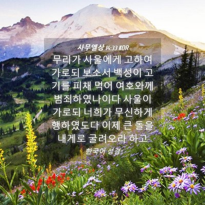 Picture 04 - 사무엘상 14:33 KOR - 무리가 사울에게 고하여 가로되 - Bible Verse Picture