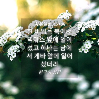 Picture 04 - 사무엘상 14:5 KOR - 한 바위는 북에서 믹마스 앞에 - Bible Verse Picture