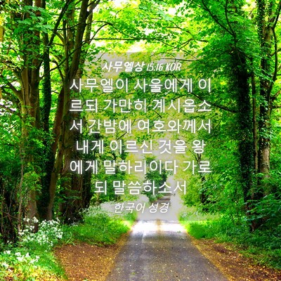 Picture 04 - 사무엘상 15:16 KOR - 사무엘이 사울에게 이르되 가만히 - Bible Verse Picture