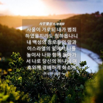 Picture 04 - 사무엘상 15:30 KOR - 사울이 가로되 내가 - Bible Verse Picture