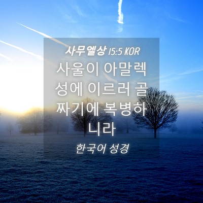 Picture 04 - 사무엘상 15:5 KOR - 사울이 아말렉성에 이르러 골짜기에 - Bible Verse Picture