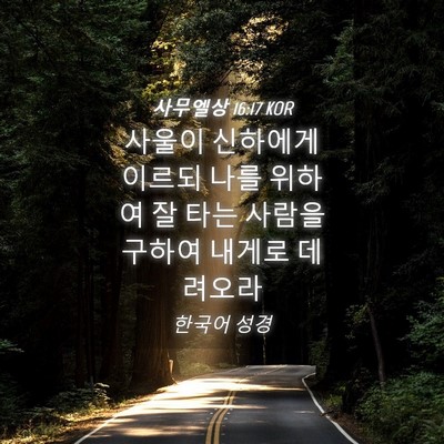 Picture 04 - 사무엘상 16:17 KOR - 사울이 신하에게 이르되 나를 위하여 - Bible Verse Picture