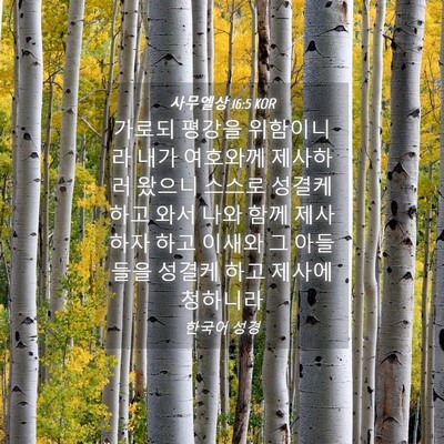 Picture 04 - 사무엘상 16:5 KOR - 가로되 평강을 위함이니라 내가 - Bible Verse Picture