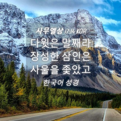 Picture 04 - 사무엘상 17:14 KOR - 다윗은 말째라 장성한 삼인은 사울을 - Bible Verse Picture