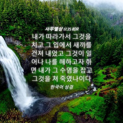 Picture 04 - 사무엘상 17:35 KOR - 내가 따라가서 그것을 치고 그 - Bible Verse Picture