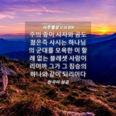 Picture 04 - 사무엘상 17:36 KOR - 주의 종이 사자와 곰도 쳤은즉 - Bible Verse Picture