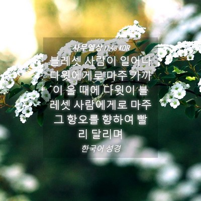 Picture 04 - 사무엘상 17:48 KOR - 블레셋 사람이 일어나 다윗에게로 - Bible Verse Picture