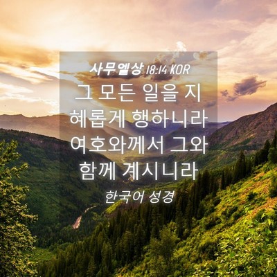 Picture 04 - 사무엘상 18:14 KOR - 그 모든 일을 지혜롭게 행하니라 - Bible Verse Picture