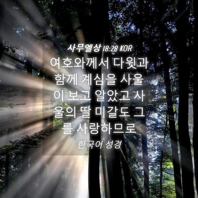 Picture 04 - 사무엘상 18:28 KOR - 여호와께서 다윗과 함께 계심을 - Bible Verse Picture