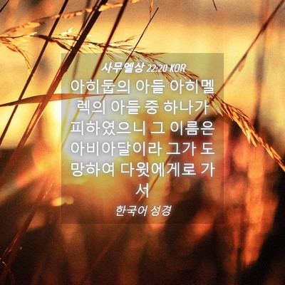 Picture 04 - 사무엘상 22:20 KOR - 아히둡의 아들 아히멜렉의 아들 중 - Bible Verse Picture