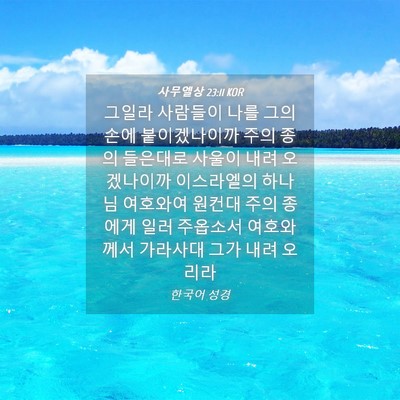 Picture 04 - 사무엘상 23:11 KOR - 그일라 사람들이 나를 그의 손에 - Bible Verse Picture