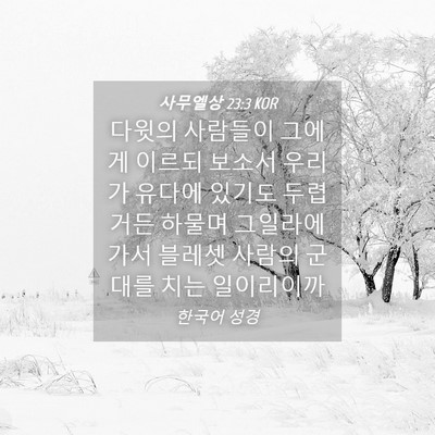 Picture 04 - 사무엘상 23:3 KOR - 다윗의 사람들이 그에게 이르되 - Bible Verse Picture