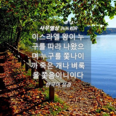 Picture 04 - 사무엘상 24:14 KOR - 이스라엘 왕이 누구를 따라 나왔으며 - Bible Verse Picture