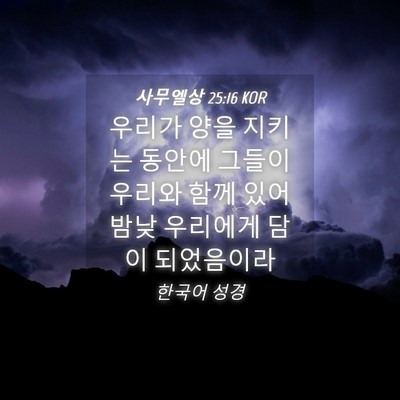 Picture 04 - 사무엘상 25:16 KOR - 우리가 양을 지키는 동안에 그들이 - Bible Verse Picture