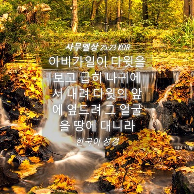 Picture 04 - 사무엘상 25:23 KOR - 아비가일이 다윗을 보고 급히 - Bible Verse Picture