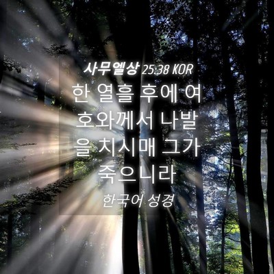 Picture 04 - 사무엘상 25:38 KOR - 한 열흘 후에 여호와께서 나발을 - Bible Verse Picture