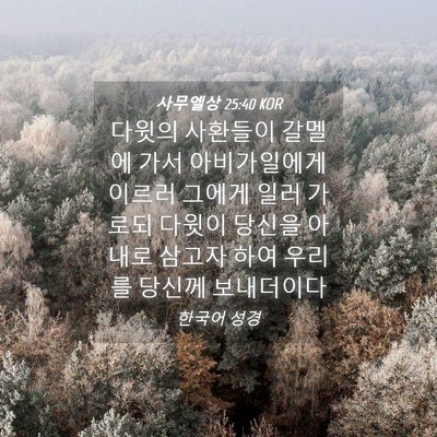 Picture 04 - 사무엘상 25:40 KOR - 다윗의 사환들이 갈멜에 가서 - Bible Verse Picture