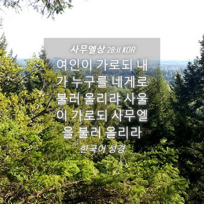 Picture 04 - 사무엘상 28:11 KOR - 여인이 가로되 내가 누구를 네게로 - Bible Verse Picture