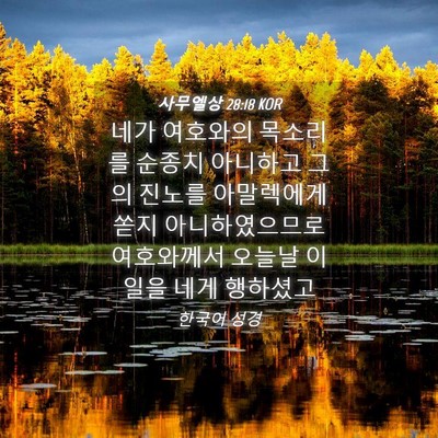 Picture 04 - 사무엘상 28:18 KOR - 네가 여호와의 목소리를 순종치 - Bible Verse Picture