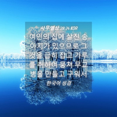 Picture 04 - 사무엘상 28:24 KOR - 여인의 집에 살진 송아지가 있으므로 - Bible Verse Picture