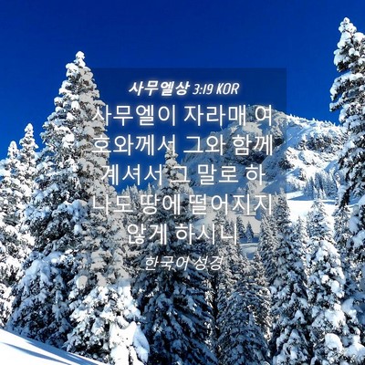 Picture 04 - 사무엘상 3:19 KOR - 사무엘이 자라매 여호와께서 그와 - Bible Verse Picture