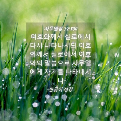 Picture 04 - 사무엘상 3:21 KOR - 여호와께서 실로에서 다시 - Bible Verse Picture