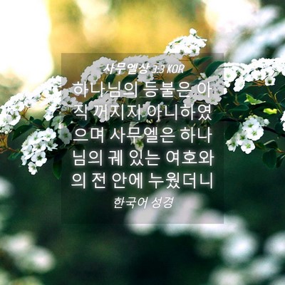 Picture 04 - 사무엘상 3:3 KOR - 하나님의 등불은 아직 꺼지지 - Bible Verse Picture