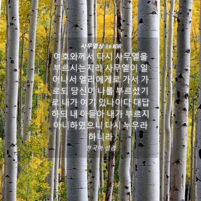 Picture 04 - 사무엘상 3:6 KOR - 여호와께서 다시 사무엘을 - Bible Verse Picture