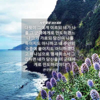 Picture 04 - 사무엘상 30:15 KOR - 다윗이 그에게 이르되 네가 나를 그 - Bible Verse Picture