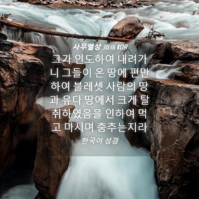 Picture 04 - 사무엘상 30:16 KOR - 그가 인도하여 내려가니 그들이 온 - Bible Verse Picture