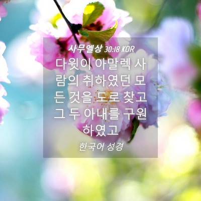 Picture 04 - 사무엘상 30:18 KOR - 다윗이 아말렉 사람의 취하였던 모든 - Bible Verse Picture