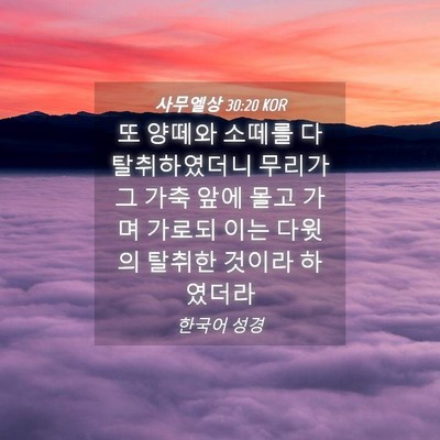 Picture 04 - 사무엘상 30:20 KOR - 또 양떼와 소떼를 다 탈취하였더니 - Bible Verse Picture