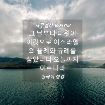 Picture 04 - 사무엘상 30:25 KOR - 그 날부터 다윗이 이것으로 - Bible Verse Picture