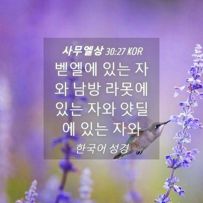 Picture 04 - 사무엘상 30:27 KOR - 벧엘에 있는 자와 남방 라못에 있는 - Bible Verse Picture