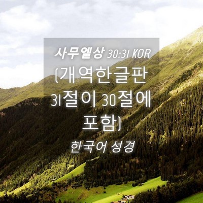 Picture 04 - 사무엘상 30:31 KOR - (개역한글판 31절이 30절에 - Bible Verse Picture