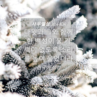Picture 04 - 사무엘상 30:4 KOR - 다윗과 그와 함께 한 백성이 울 - Bible Verse Picture