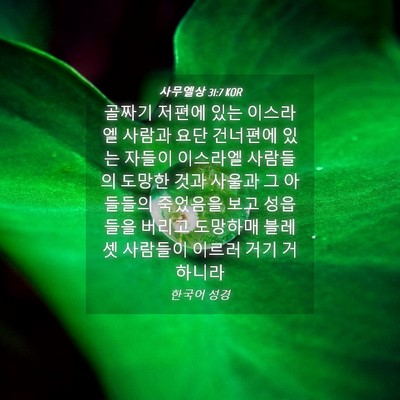 Picture 04 - 사무엘상 31:7 KOR - 골짜기 저편에 있는 이스라엘 사람과 - Bible Verse Picture