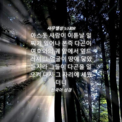 Picture 04 - 사무엘상 5:3 KOR - 아스돗 사람이 이튿날 일찌기 일어나 - Bible Verse Picture