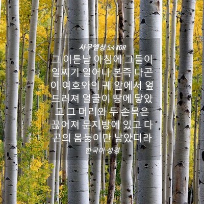 Picture 04 - 사무엘상 5:4 KOR - 그 이튿날 아침에 그들이 일찌기 - Bible Verse Picture