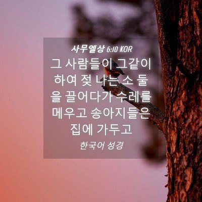 Picture 04 - 사무엘상 6:10 KOR - 그 사람들이 그같이 하여 젖 나는 소 - Bible Verse Picture